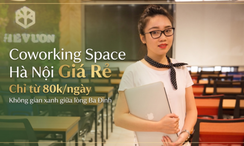 Khám phá coworking space Hà Nội giá rẻ: Không gian xanh cực chất tại The Vuon 
