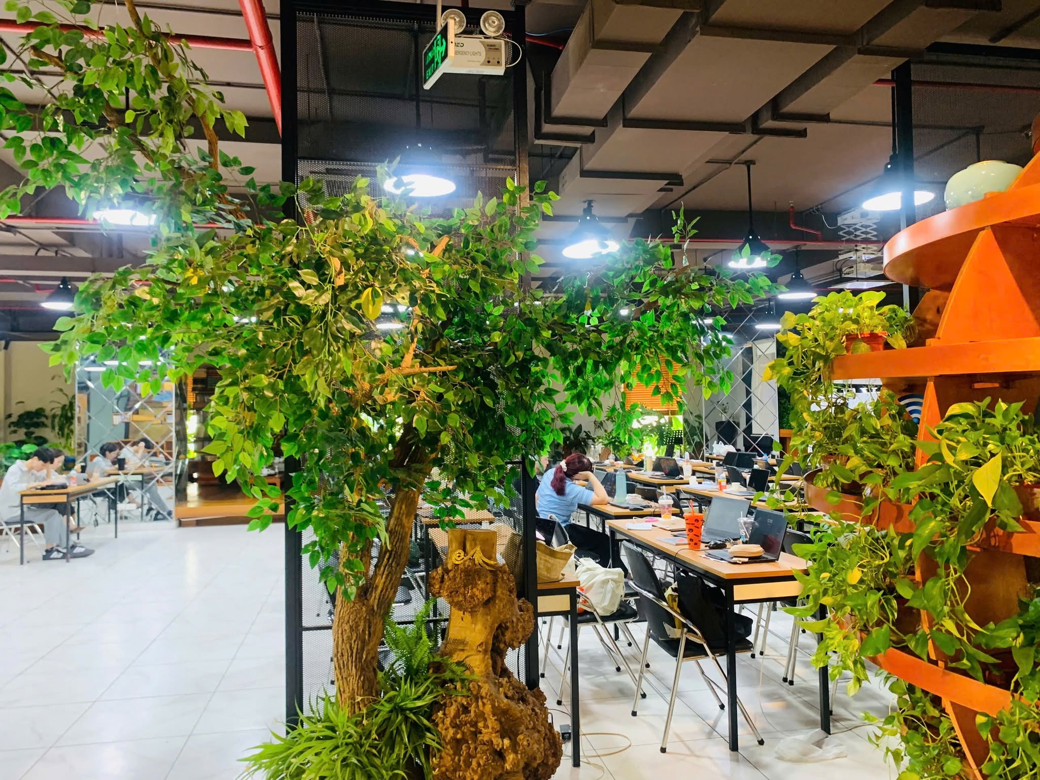 Khoá học đào tạo AI cùng Trainocate Việt Nam tại The Vuon Hà Nội 