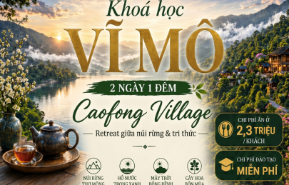Khóa học vĩ mô tại Caofong village cùng thầy Tuấn Hà 