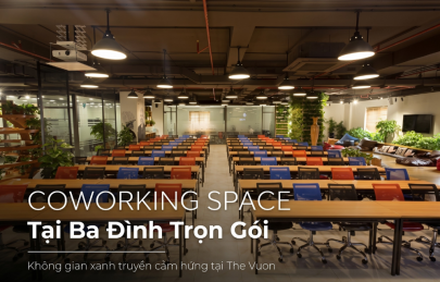 Coworking space tại Ba Đình trọn gói: Trải nghiệm không gian xanh tại The Vuon