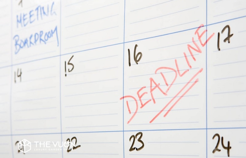 Chạy Deadline Là Gì? Cách Quản Lý Deadline Hiệu Quả