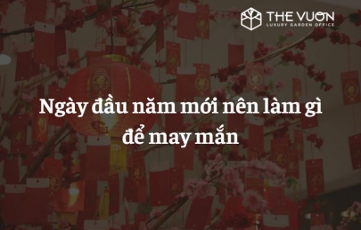 Ngày đầu năm mới nên làm gì để may mắn cả năm 2026?